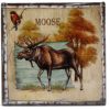 ceramic-wilderness-coasters-set-of-4