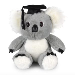 Academic Koala Bear