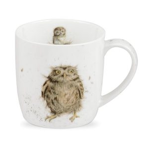 Royal Worcester Wrendale What A Hoot Mug