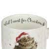 Wrendale Owl I Want for Christmas Mug