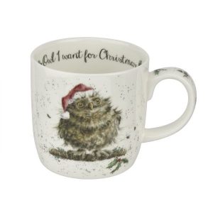 Wrendale Owl I Want for Christmas Mug