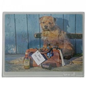 Kitchy & Co Vet On Call Trivet Small