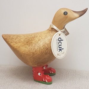 Wild Welly Ducky Dragon