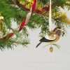 2021 Hallmark Keepsake Ornament - Beauty Of Birds No 17