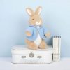 Classic Plush Peter Rabbit 25cm