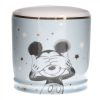 Disney Ceramic Money Bank Mickey Mouse