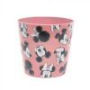 Disney Micky & Minnie Mouse Eco Pot (Set of 3)