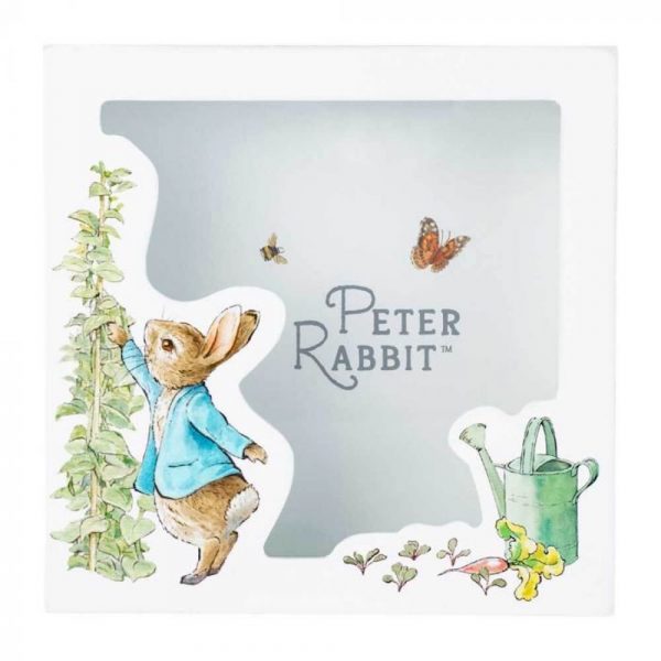 Peter Rabbit Money Bank