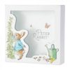 Peter Rabbit Money Bank