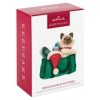 2023 Hallmark Keepsake Ornament - Mischievous Kittens