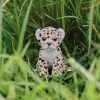 Cuddle Cub Leopard