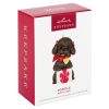 024 Hallmark Keepsake Ornament - Puppy Love Poodle