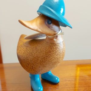 Rainy Day Ducky Blue 1