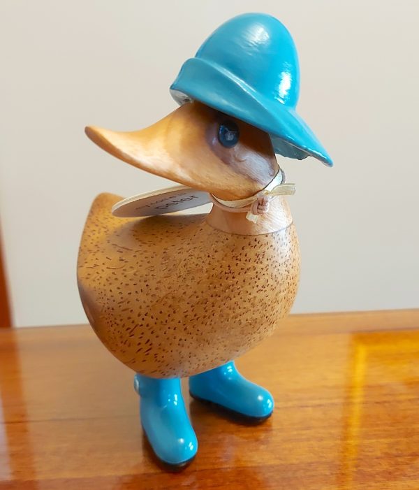 Rainy Day Ducky Blue 1