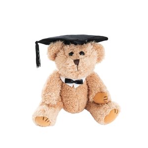 Graduation Teddy Bear William