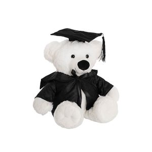Graduation Teddy Bear Alfred