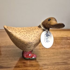 Wild Welly Ducky Dragon 1