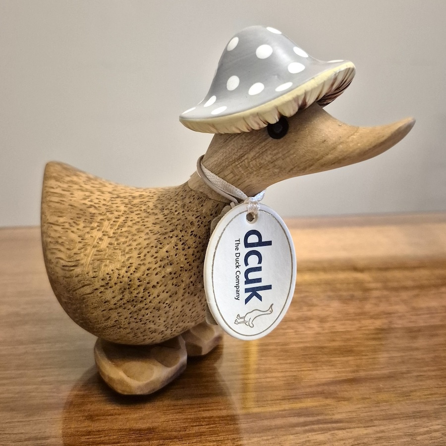Dcuk Toadstool Folk Duckys Gray 1