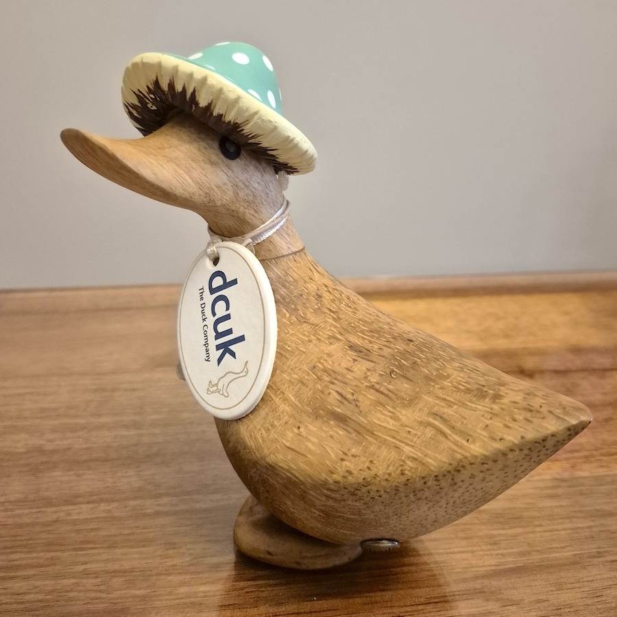 Dcuk Toadstool Folk Duckys Green 1